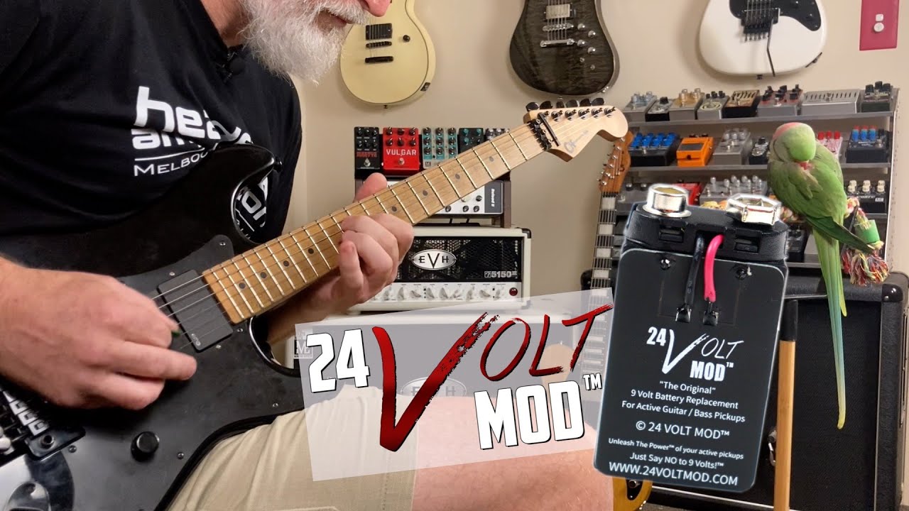 24 Вольта в EMG 81