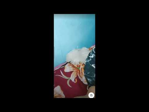 07Imo Video Call See Live performance Imo  big 28