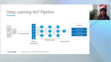 How to Explain Text Models with InterpretML - Deep Dive | INT186A