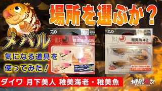 【噂の稚美魚・稚美海老】釣具屋に沢山あるルアーを使ってみた。使って解った○○な事。【地球遊び 208】