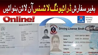 Driving License Renewal Form and Guide for Karachi Pakistan | Driving License Online Apply \ in 2023 screenshot 3