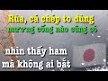 34🇯🇵 Rùa, cá chép to đùng bơi thành đàn không ai bắt | Nước Nhật thú vij