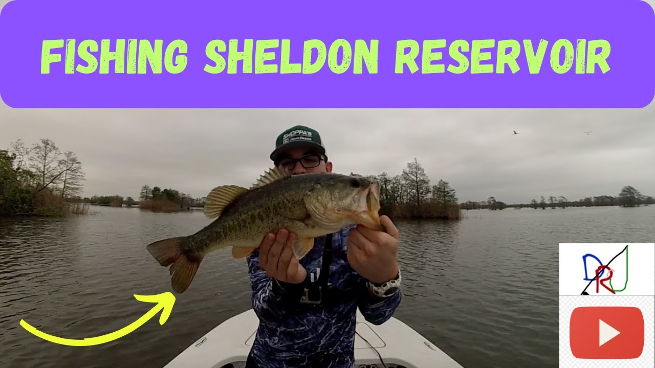 Bass Fishing on Sheldon Reservoir! (Houston, TX)