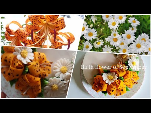 호랑이꽃(참나리)/마거리트/탄생화 케이크 Birth  flowe of September/Tiger  <strong>lily</strong> /Marguerite /<strong>flower</strong> cake