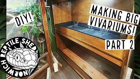 Making Big DIY Reptile Vivariums - Part 2!