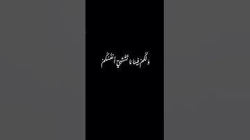 نَحۡنُ أَوۡلِيَآؤُكُمۡ فِي ٱلۡحَيَوٰةِ ٱلدُّنۡيَا  #ماهر_المعيقلي #سورة_فصلت #شاشه_سوداء