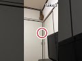 [検証]何センチ幅あれば飛び乗れるのか!! #shorts