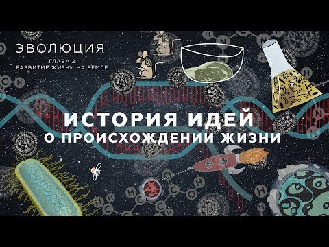 4. История идей о происхождении жизни. Развитие жизни на Земле - 10 - 11 класс