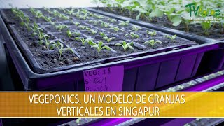 Vegeponics, un Modelo de Granjas Verticales en Singapur- TvAgro por Juan Gonzalo Angel Restrepo