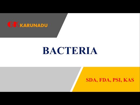 Bacteria (ಬ್ಯಾಕ್ಟೀರಿಯಾ)