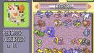 pokemon ruby destiny 100% all
