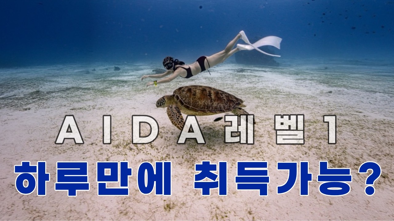 프리다이빙 처음이라면 필수 시청, 하루동안 뭘 할까? 🙌 AIDA(아이다) 레벨1 하루만에 취득하기!🔥