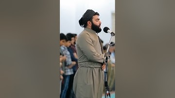 القارئ دلشاد أحمد