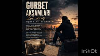 Gurbet Akşamları (Ai Cover)#müzik #muzikmania #music #remix #party #mix #cover #türküler #love 