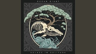 Solace In Solitude