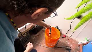 Johnny’s house grow