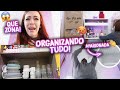 ORGANIZANDO A CASA TODA | O VARAL PERFEITO para Apê, DECORANDO TUDO DE NOVO!