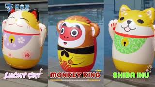 🐱Doctor Dolphin Inflatable Roly Poly🐧🌈