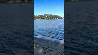 #oatley #youtubeshorts #ytshorts #shorts