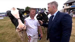 Gwartheg Godro - Tîm o Dri | Dairy Cows - Team of Three