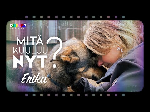 Video: Mitä koirarotuja on vaikea vakuuttaa?