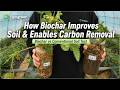 Biochar vs Conventional Soil: Soil Improvement &amp; Carbon Removal Explained