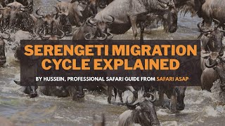 Annual Serengeti Wildebeest Migration Explained by Safari ASAP Guide.