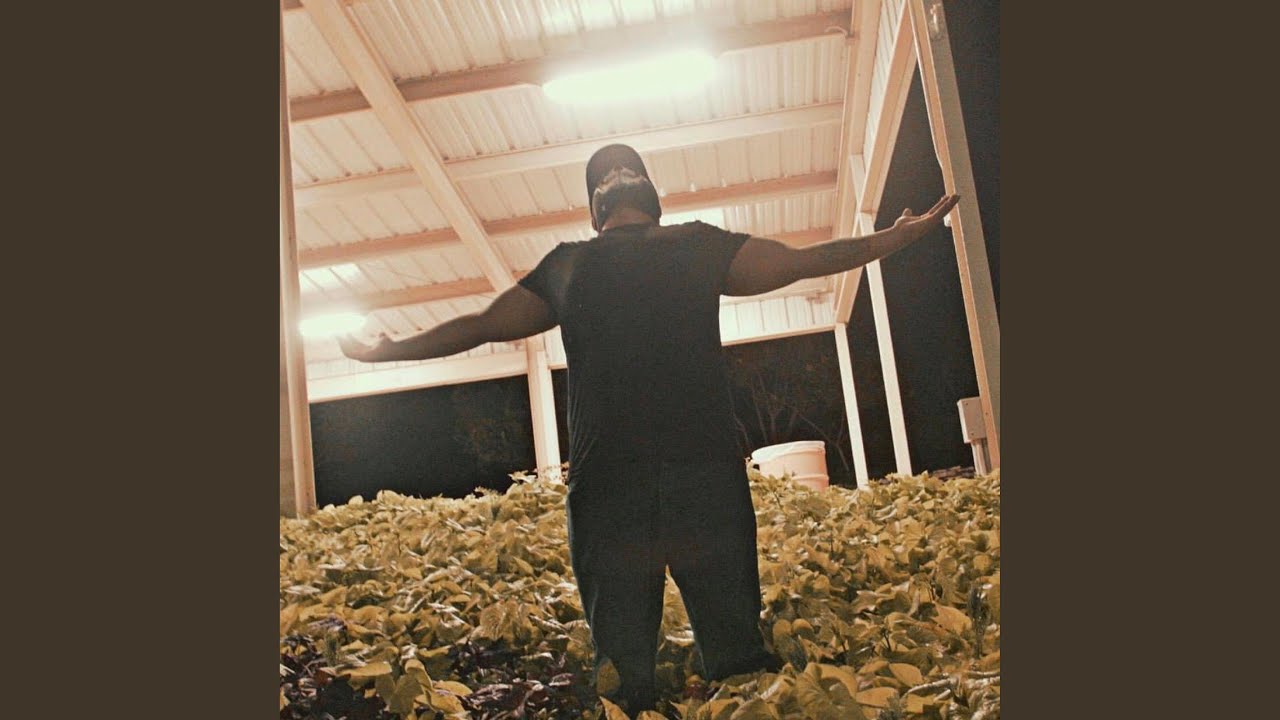 Sailor Moon (feat. Voxout)