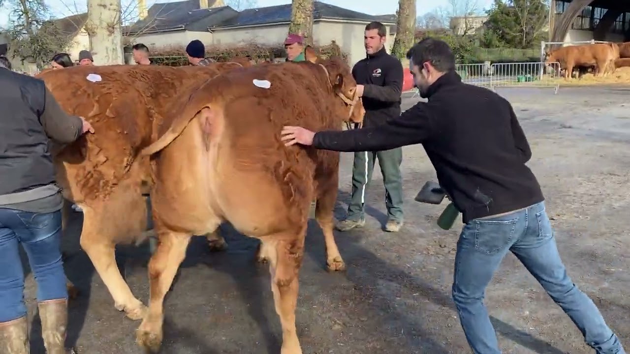 9 - ROSALINE - GAEC BOURBOULOUX