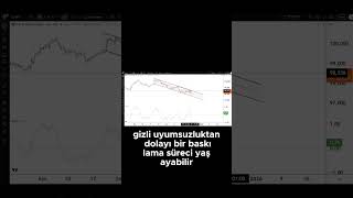 Dolar Endeksinde Gizli Negatif Uyumsuzluk Altın İçin Ne Anlama Geliyor.