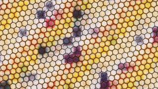 @PosyMusic - Microgalaxies