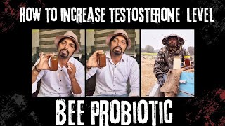 How to increase testosterone level / Bee probiotic benefits #beeprobiotic #testosterone #antiaging 