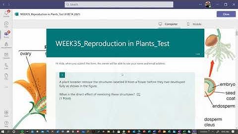 Conducting Assessment Using MS Forms & Teams