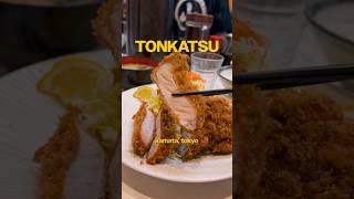 Local Tonkatsu Spot In Tokyo, Japan Only Locals Know This Spot Cash Only