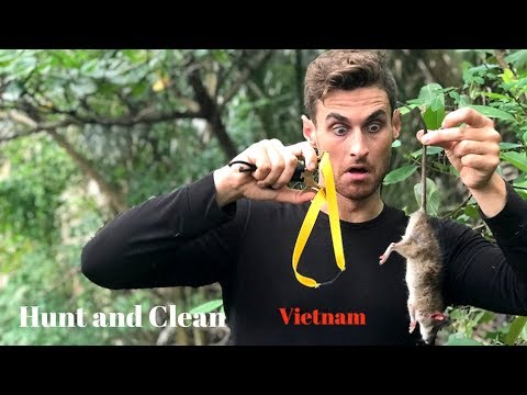 Went Fishing And Had An Unwanted Visitor!? Slingshot Hunting (Vietnam)
