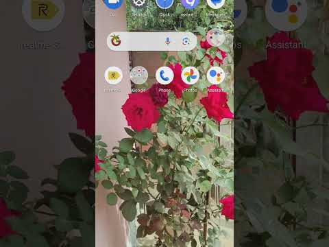 #viral #video #video #viral