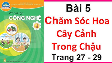 Vở Bài Tập Công Nghệ Lớp 4 Bài 5 | Chăm Sóc Hoa Cây Cảnh Trong Chậu | Trang 27 | Chân Trời Sáng Tạo