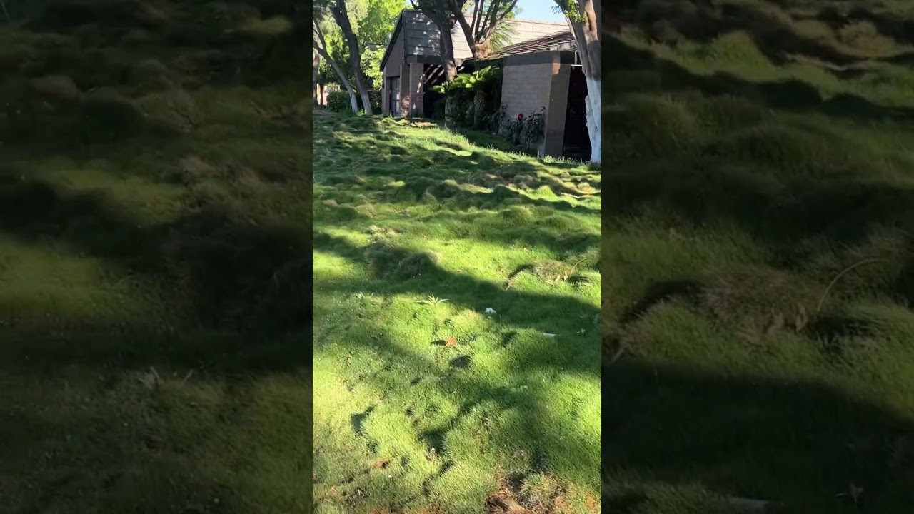 Look at all that green 😍 