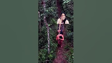 bộ tộc người ăn thịt người nguyên thủy