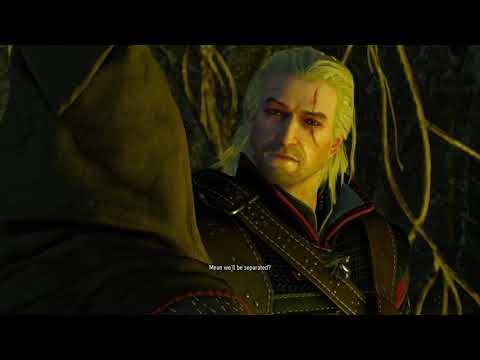 The Witcher 3- Geralt really hates portals