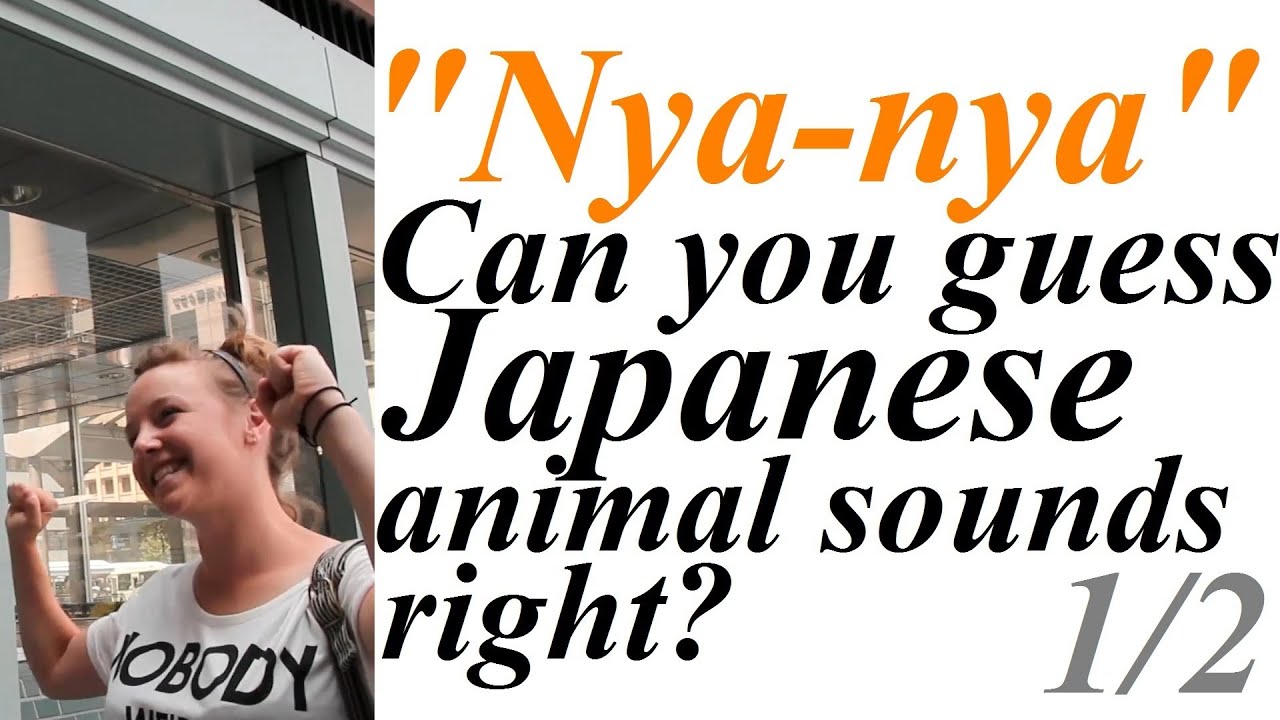 [1/2] Can You Guess Japanese Animal Sounds right?│外国人に日本語の動物の鳴き声は通じるの