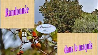 Randonnée Dans Le Maquis