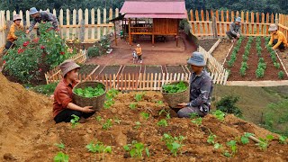 ПОЛНОЕ ВИДЕО: Там Лан вместе строит новую ферму, сажает и собирает урожай.Повседневная жизнь и ферма