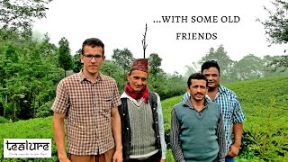 ..With Some Old Friends