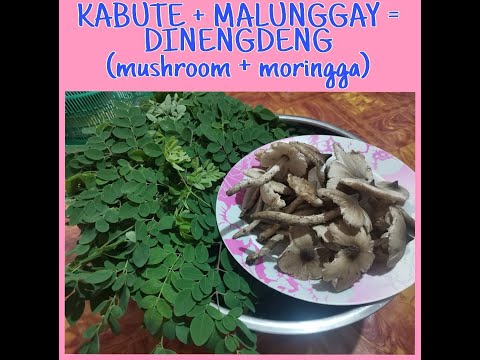 KABUTE + MALUNGGAY = DINENGDENG  (mushrooms+moringga)