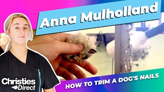 Anna Mulholland: How to trim a dogs nails