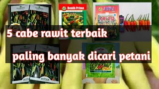 5 cabe rawit terbaik!! Yang banyak dicari