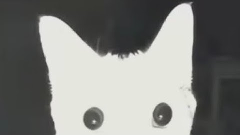 Escaping the roblox skybox (not real but only the black box is real)