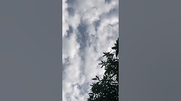 حالات واتس قرآن كريم كل من عليها فان💔😔