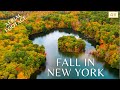 4K Aerial Autumn in New York, Drone Footage, spectacular colors, Fall Foliage Leaves. Sleep&Dream